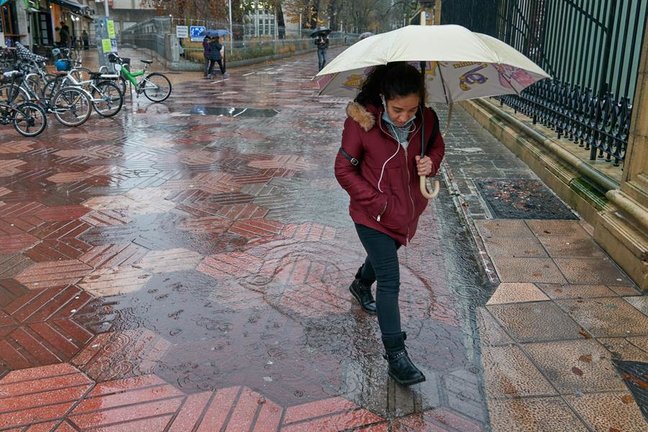 Una persona se protege bajo un paraguas de la intensa lluvia que cae este jueves sobre Vitoria en una jornada en la que se mantiene la alerta amarilla en la capital alavesa. EFE / L. Rico