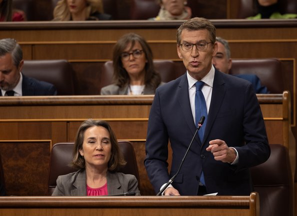 El líder del PP, Alberto Núñez Feijóo, interviene durante una sesión de control al Gobierno.