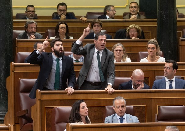 Los diputados de VOX Manuel Mariscal (i) y Pedro Fernández (d) responden a un diputado del PSOE, durante un pleno en el Congreso de los Diputados. Eduardo Parra
