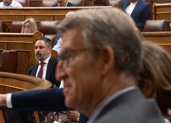 El líder de VOX, Santiago Abascal y el presidente del Partido Popular, Albertu Núñez Feijóo. / EP