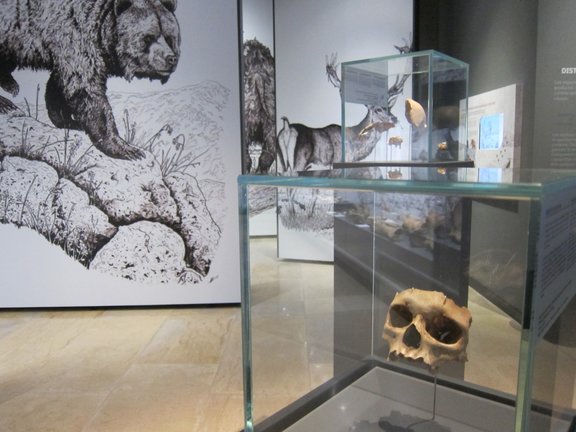 Museo de Arqueología y Prehistoria de Cantabria. / Alerta