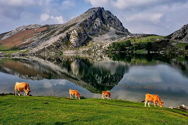 Lagos de Covadonga. / Facebook