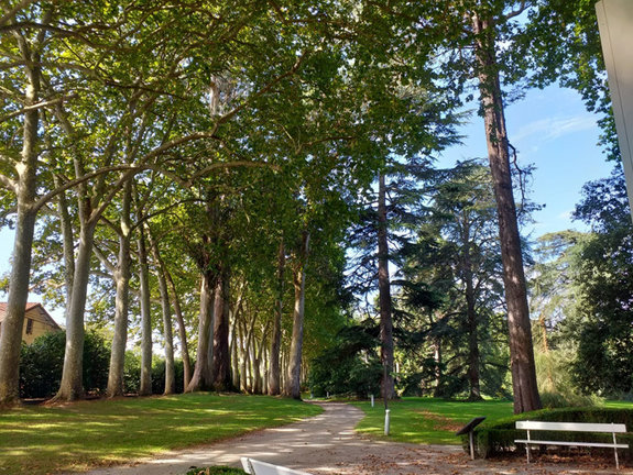 Jardín Botánico Atlántico de Gijón. / EP