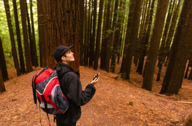 Una turistas en el bosque de secuoyas en Cabezón de la Sal, Cantabria. / A.E.