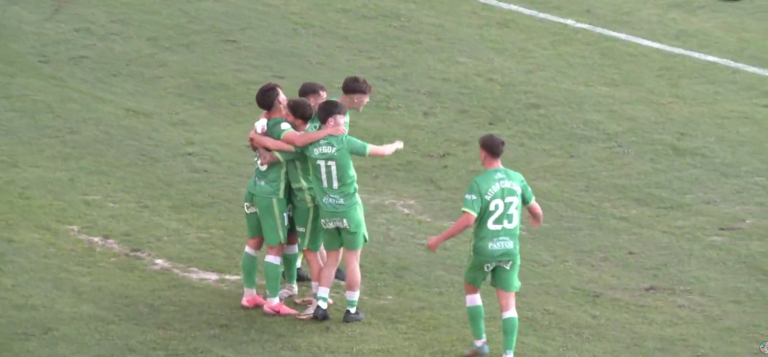 Los jugadores del Rayo Cantabria celebran el segundo gol del partido. / A.E.