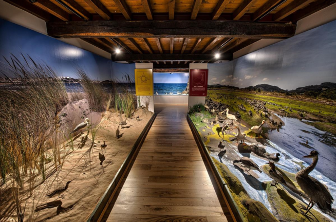 Una de las estancias del Museo de la naturaleza de Cantabria. / M.N.C.