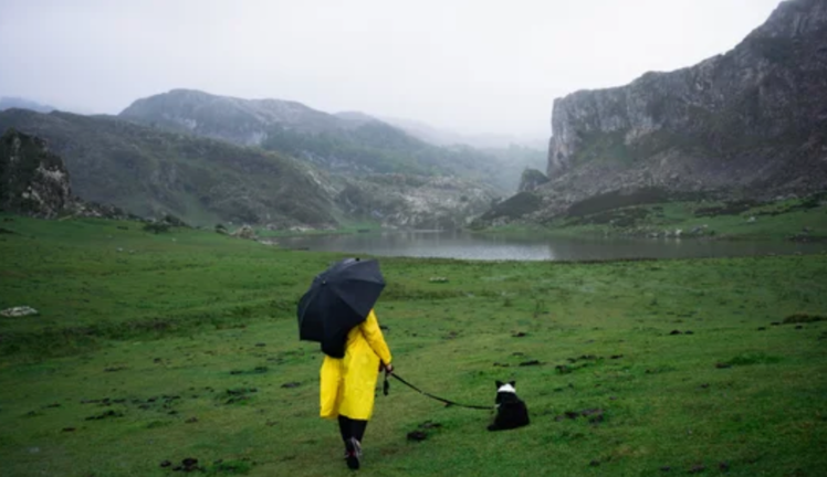 Una persona bajo su paraguas en Cantabria. / A.E.