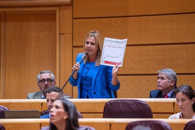 La senadora Elena Castillo, durante la sesión de control. / ALERTA