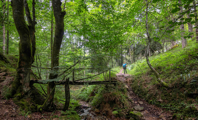 La ruta de los puentes. / rcr