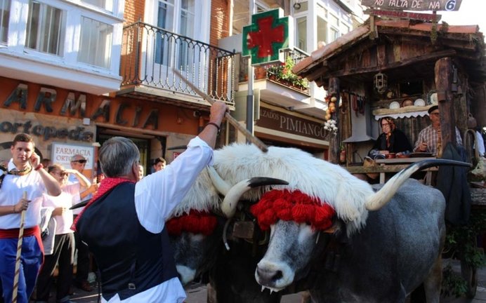 La carreta ganadora en el desfile del año pasado. / Alerta