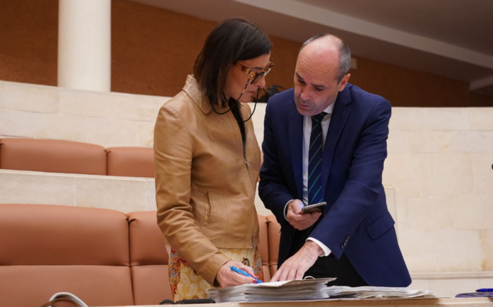 Juan José Alonso y Gema Igual, ayer durante el pleno en el parlamento. / ALERTA