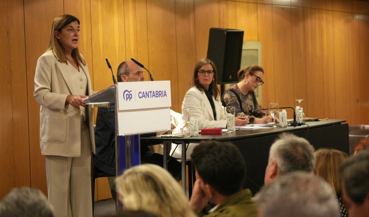 Buruaga interviene en el Comité Ejecutivo Regional. / Nacho Cubero / PP