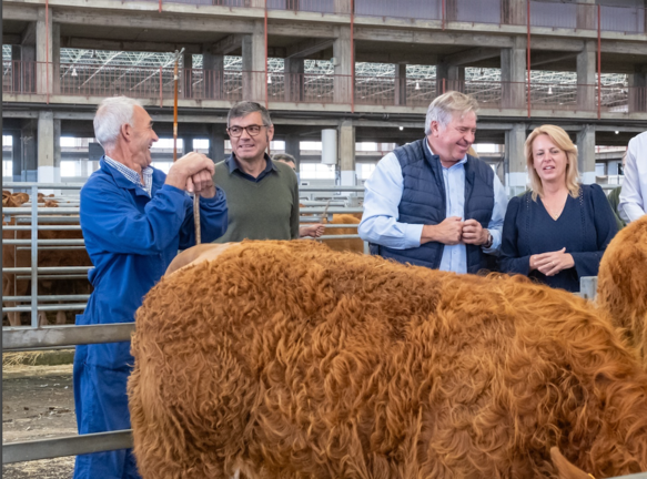 La consejera de Desarrollo Rural, Ganadería, Pesca y Alimentación, María Jesús Susinos, visita el Mercado Nacional de Ganados. / A.E.