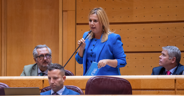 La cántabra Elena Castillo en el Senado. / ALERTA